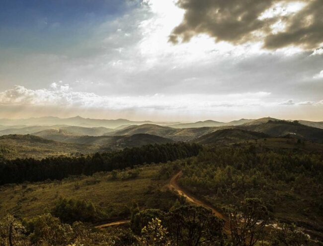 Landscape